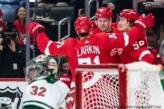 Wild-at-Red-Wings-February-27-2020-48