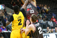 Windsor Express