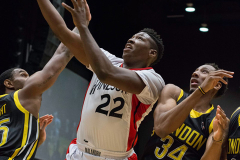 Windsor-Express-vs-London-Lightning-January-15-2014-In-Play-magazine-3