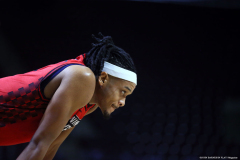 Windsor-Express-vs-Jamestown-Jackals-January-24-2025-15