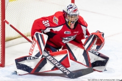 Flint-Firebirds-at-Windsor-Spitfires-1-16-2022-31