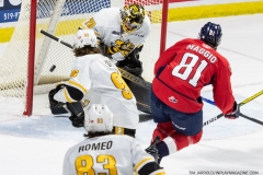 Sarnia-Sting-at-Windsor-Spitfires-April-21-2022-16