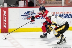 Sarnia-Sting-at-Windsor-Spitfires-April-21-2022-17