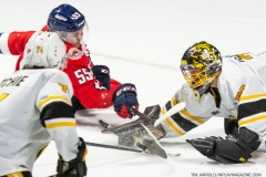 Sarnia-Sting-at-Windsor-Spitfires-April-21-2022-33