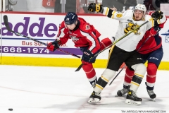 Sarnia-Sting-at-Windsor-Spitfires-April-21-2022-34
