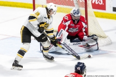 Sarnia-Sting-at-Windsor-Spitfires-April-21-2022-39
