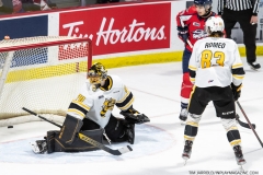 Sarnia-Sting-at-Windsor-Spitfires-April-21-2022-41