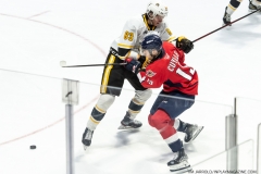 Sarnia-Sting-at-Windsor-Spitfires-April-21-2022-6