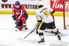 Sarnia-Sting-at-Windsor-Spitfires-April-21-2022-9