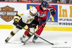 Sarnia-Sting-at-Windsor-Spitfires-April-23-2022-13