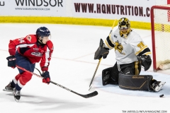 Sarnia-Sting-at-Windsor-Spitfires-April-23-2022-23