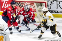 Sarnia-Sting-at-Windsor-Spitfires-April-23-2022-35
