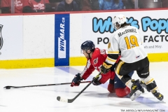 Sarnia-Sting-at-Windsor-Spitfires-April-30-2022-Game-5-19