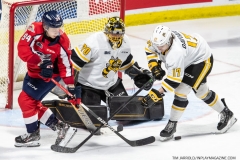 Sarnia-Sting-at-Windsor-Spitfires-April-30-2022-Game-5-23