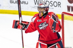 London-Knights-at-Windsor-Spitfires-Feb-12-2022-31