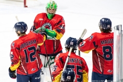Sarnia-Sting-at-Windsor-Spitfires-Feb-27-2022-12