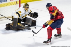 Sarnia-Sting-at-Windsor-Spitfires-Feb-27-2022-23