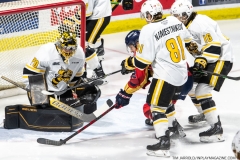Sarnia-Sting-at-Windsor-Spitfires-Feb-27-2022-3