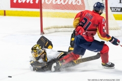 Sarnia-Sting-at-Windsor-Spitfires-Feb-27-2022-35