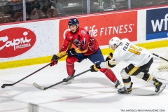Sarnia-Sting-at-Windsor-Spitfires-Feb-27-2022-41