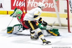 Sarnia-Sting-at-Windsor-Spitfires-Feb-27-2022-47