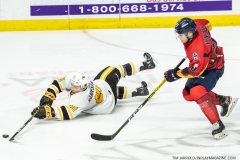 Sarnia-Sting-at-Windsor-Spitfires-Feb-27-2022-8