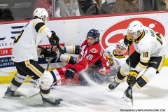 Windsor-Spitfires-vs-Sarnia-Sting-February-1-2024-In-Play-magazine-14