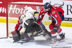 Windsor-Spitfires-vs-Sarnia-Sting-February-1-2024-In-Play-magazine-39