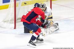 Windsor-Spitfires-vs-Sarnia-Sting-February-1-2024-In-Play-magazine-4