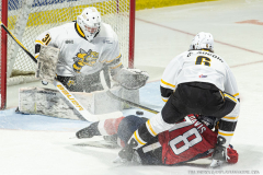 Windsor-Spitfires-vs-Sarnia-Sting-February-12-2026-In-Play-magazine-22