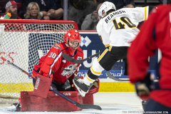 Windsor-Spitfires-vs-Sarnia-Sting-February-12-2026-In-Play-magazine-4