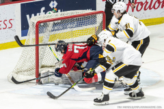 Windsor-Spitfires-vs-Sarnia-Sting-February-12-2026-In-Play-magazine-47