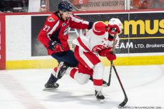 Soo-Greyhounds-at-Windsor-Spitfires-February-2-2023-12