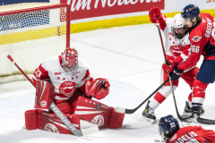 Soo-Greyhounds-at-Windsor-Spitfires-February-2-2023-29