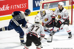Owen-Sound-Attack-at-Windsor-Spitfires-February-5-2023-8