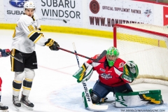Sarnia-Sting-at-Windsor-Spitfires-February-6-2022-4