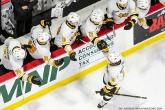 Sarnia-Sting-at-Windsor-Spitfires-February-6-2022-41