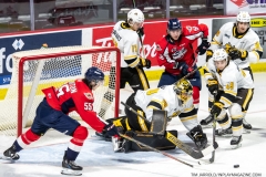 Sarnia-Sting-at-Windsor-Spitfires-February-6-2022-48