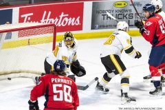 Sarnia-Sting-at-Windsor-Spitfires-February-6-2022-9