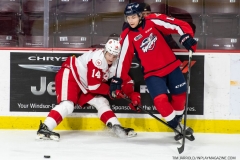 Soo-Greyhounds-at-Windsor-Spitfires-Jan-20-2022-Photo-Tim-Jarolld-In-Play-magazine-4
