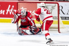 Soo-Greyhounds-at-Windsor-Spitfires-Jan-20-2022-Photo-Tim-Jarolld-In-Play-magazine-7