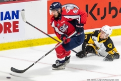 Hamilton-Bulldogs-at-Windsor-Spitfires-June-10-2022-15