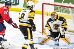 Hamilton-Bulldogs-at-Windsor-Spitfires-June-10-2022-24