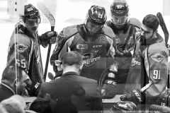 Hamilton-Bulldogs-at-Windsor-Spitfires-June-10-2022-37