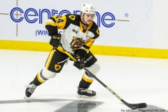Hamilton-Bulldogs-at-Windsor-Spitfires-June-10-2022-5
