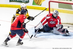 Hamilton-Bulldogs-at-Windsor-Spitfires-June-10-2022-7