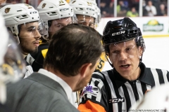 Hamilton-Bulldogs-at-Windsor-Spitfires-June-10-2022-88