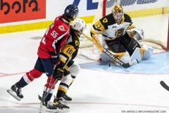 Hamilton-Bulldogs-at-Windsor-Spitfires-June-13-2022-1