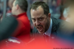 Hamilton-Bulldogs-at-Windsor-Spitfires-June-13-2022-30