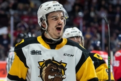 Hamilton-Bulldogs-at-Windsor-Spitfires-June-13-2022-38